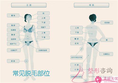 進行一次冰點永久<a href=http://www.bolangguoji.com/listinfo-670-0.html target=_blank class=infotextkey>脫毛</a>花費要多少