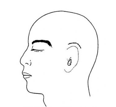 全<a href=http://www.bolangguoji.com/listinfo-699-0.html target=_blank class=infotextkey>耳再造</a>術有哪些方法啊
